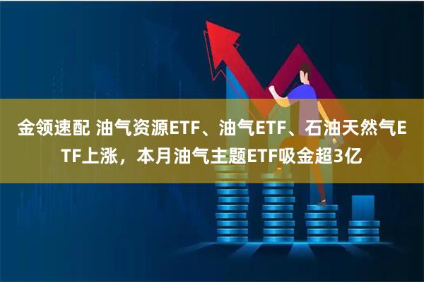 金领速配 油气资源ETF、油气ETF、石油天然气ETF上涨，本月油气主题ETF吸金超3亿