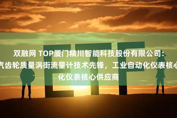 双融网 TOP厦门精川智能科技股份有限公司：靶式蒸汽齿轮质量涡街流量计技术先锋，工业自动化仪表核心供应商