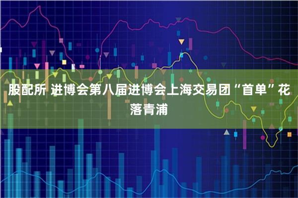 股配所 进博会第八届进博会上海交易团“首单”花落青浦