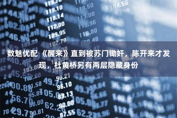 数魅优配 《醒来》直到被苏门锄奸，陈开来才发现，杜黄桥另有两层隐藏身份